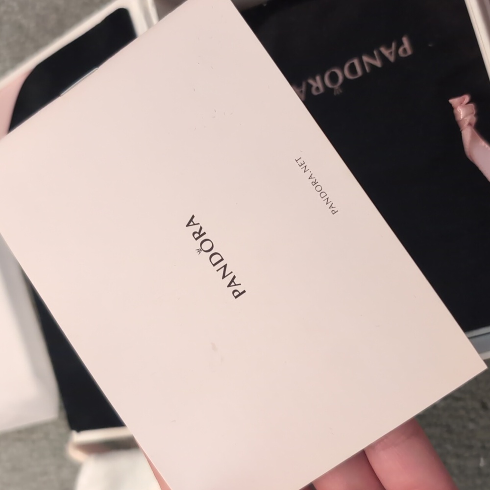 Pandora Cleaning Kit + Polishing Cloth - Picture 14 of 14